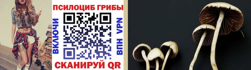 Галлюциногенные грибы мухоморы  мега зеркало  Каргат 