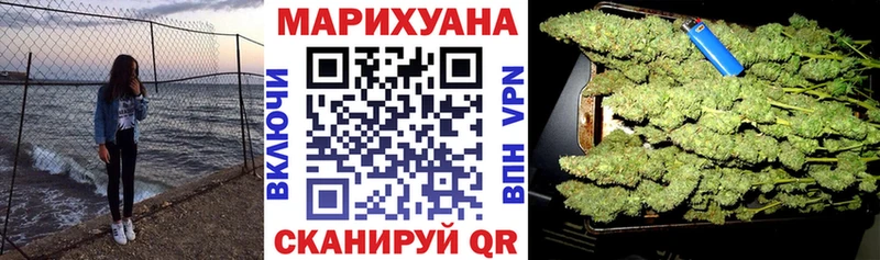 Бошки Шишки планчик  закладка  Каргат 